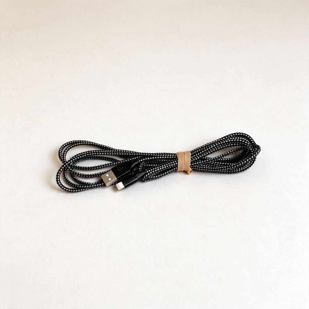 3-Foot iPhone Charger